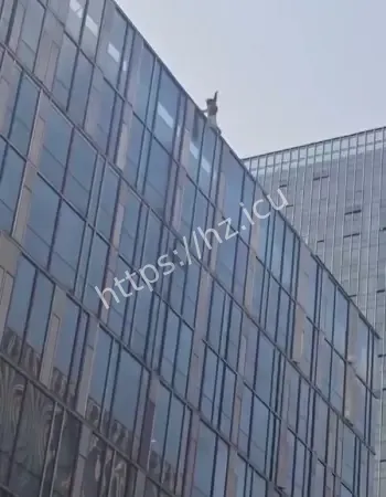 上班族坠楼